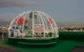 Миниатюра 8