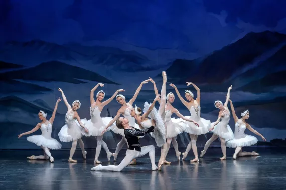 Школа танцевального искусства "Ballet Room"