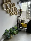Миниатюра 6