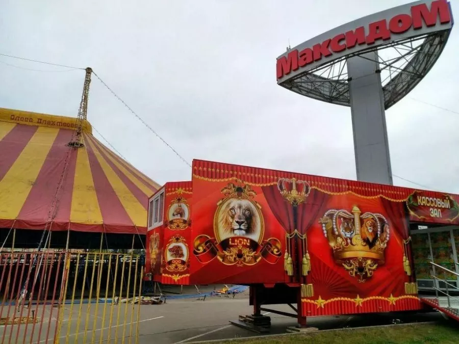 Строительный магазин Максидом на Тельмана в Санкт-Петербурге: Строителям надо, Ремонтные принадлежности, Инструменты, Ремонт, Ритейл, Интерьер,