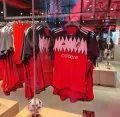 Миниатюра 8