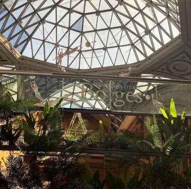 Торговый центр «Galerías Pacífico»