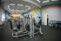 Миниатюра 5