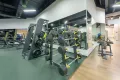 Миниатюра 5