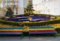 Миниатюра 10