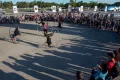 Миниатюра 10
