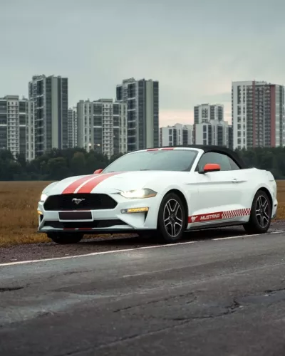 W-CARS — АРЕНДА АВТО ПРЕМИУМ КЛАССА  в  Санкт-Петербурге