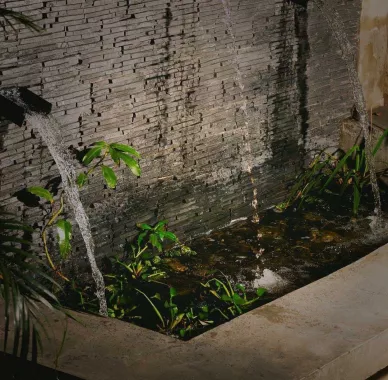 Бар «Fontana»