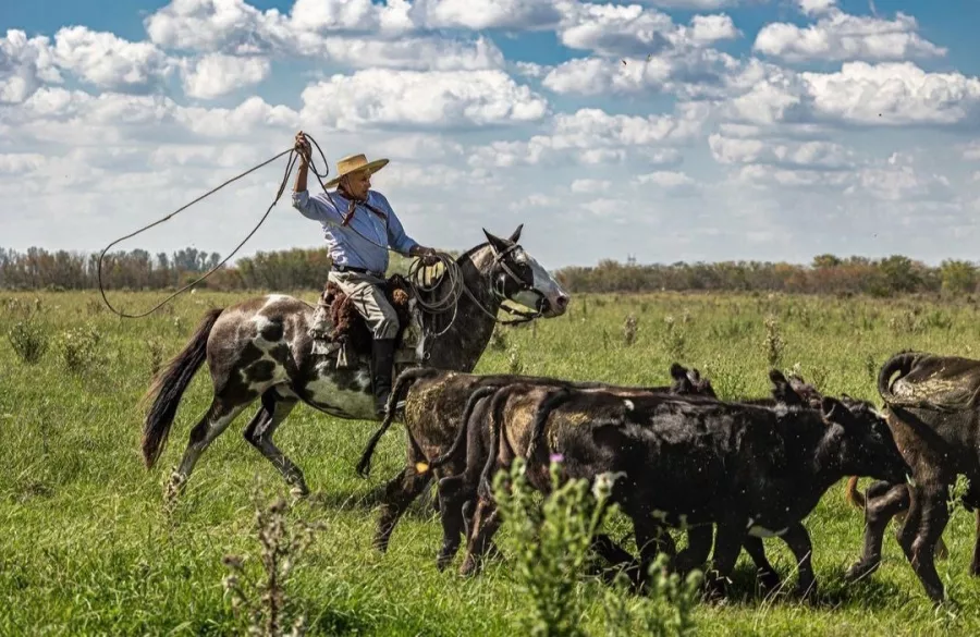 Отель Estancia El Ombú De Areco в Буэнос-Айрес (Аргентина): Ферма, Бассейн, Живая музыка, Отель,