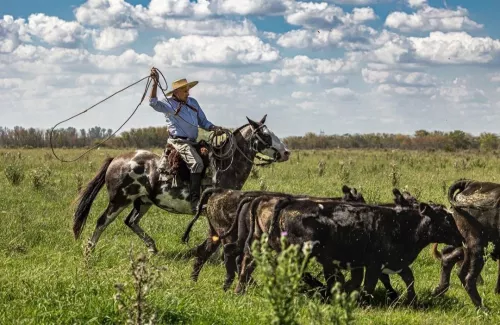 Отель Estancia El Ombú De Areco в Буэнос-Айрес (Аргентина)