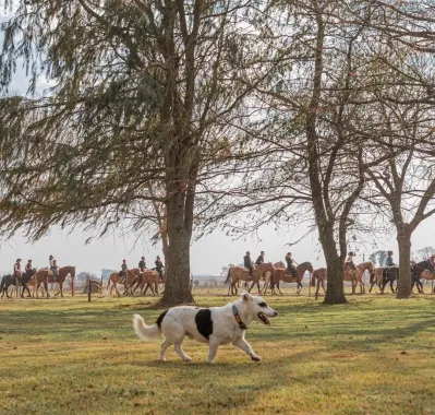 Отель «Estancia El Ombú De Areco»