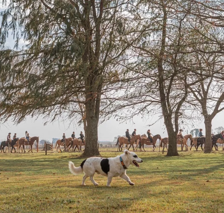 Отель Estancia El Ombú De Areco в Буэнос-Айрес (Аргентина): Ферма, Катание на лощадях, Бассейн, Живая музыка, Hotel, Farm, Horse riding, Swimming pool, Live music, Отель,