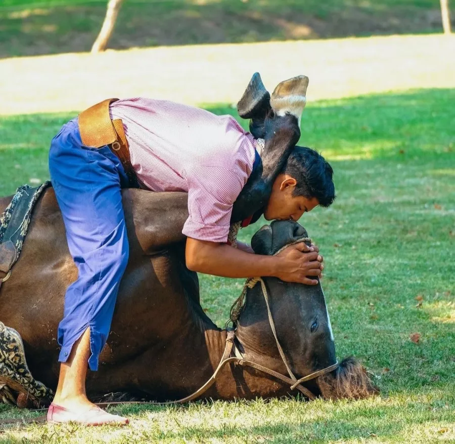 Отель Estancia El Ombú De Areco в Буэнос-Айрес (Аргентина): Ферма, Катание на лощадях, Бассейн, Живая музыка, Hotel, Farm, Horse riding, Swimming pool, Live music, Отель,
