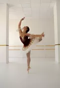 Миниатюра 7