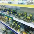 Миниатюра 10