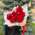 Миниатюра 9
