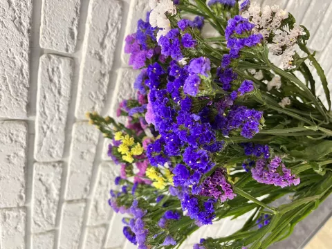Фото 6