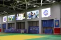Миниатюра 7