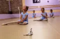 Миниатюра 7