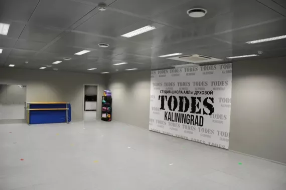 Студия-школа танцев Аллы Духовой "Todes"