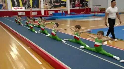 Федерация спортивной гимнастики Ахмат в Грозном