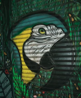 Бар «Ride Green Parrot»