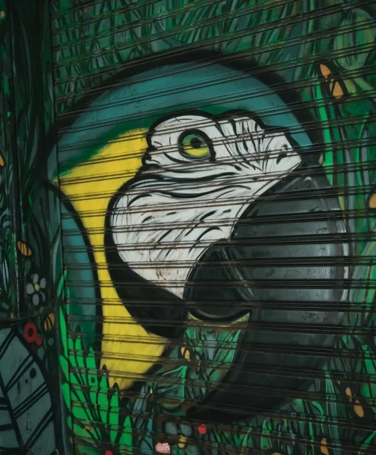 Бар Ride Green Parrot в Буэнос-Айрес (Аргентина): Мода, Живая музыка, Пиво, Бар, Коктейли,