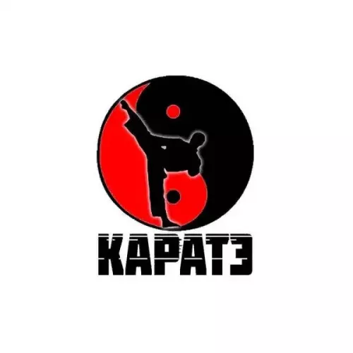 Секция киокушинкай каратэ в Грозном