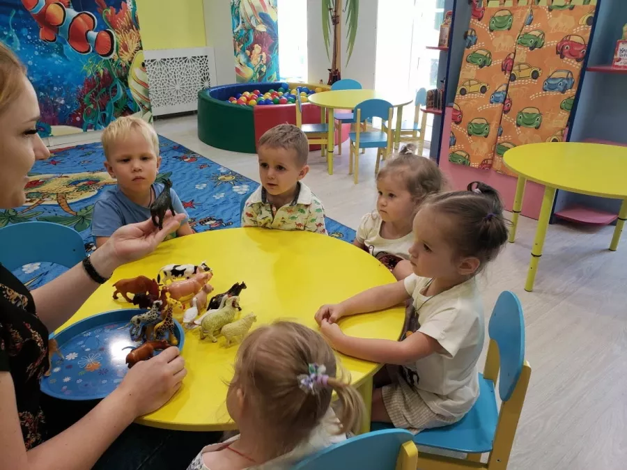 Детский сад № 81 в Чите: Ясли, Садик, Воспитание Детей, Развивашки, Дошкольники, Дети,