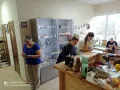 Миниатюра 4