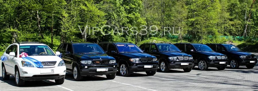 Аренда VIP-класса машин Калининград в Калининграде: Автолюбителям, Прокат , Для влюбленных, Водитель , Бизнес класс , Аренда,