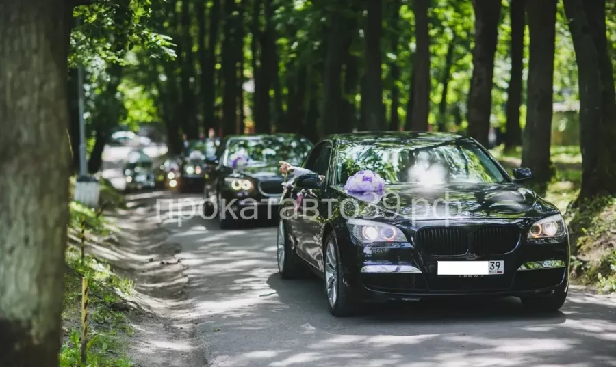Аренда VIP-класса машин Калининград в Калининграде: Автолюбителям, Прокат , Для влюбленных, Водитель , Бизнес класс , Аренда,