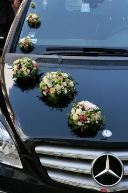 Аренда автомобилей с водителем в Калининграде