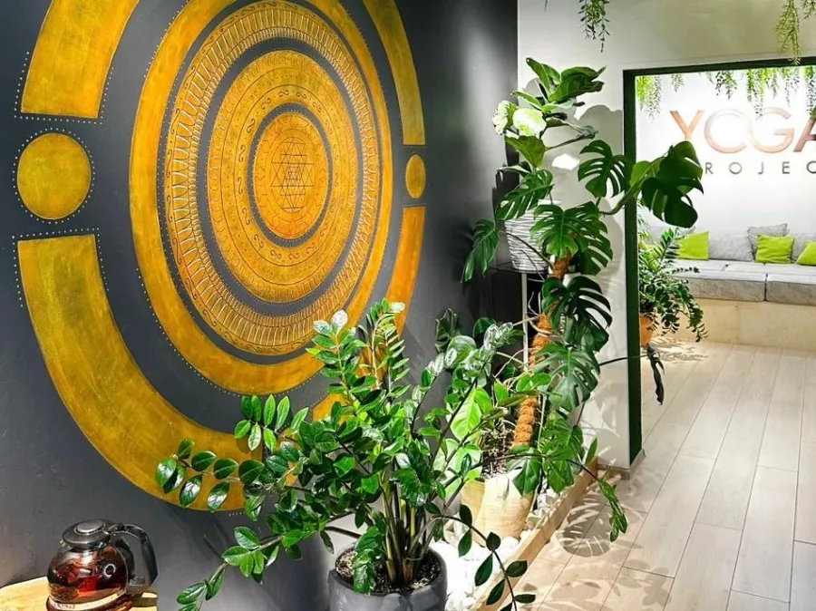 Студия Йоги YOGA Project в Екатеринбурге: Растяжка, Йога, Медицина,