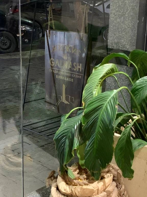 Ресторан "Жижиг&Galnash"