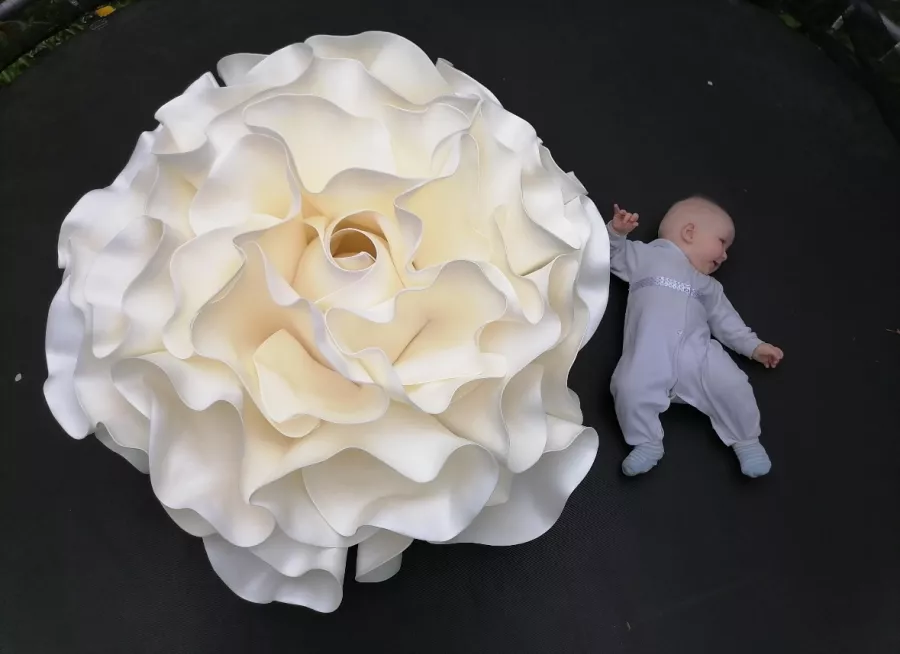 Мастерская больших цветов lindadecor39 в Калининграде: Украшения , Свадебный декор, Гигантские цветы, Декор, Интерьер, Подарок, Для влюбленных,