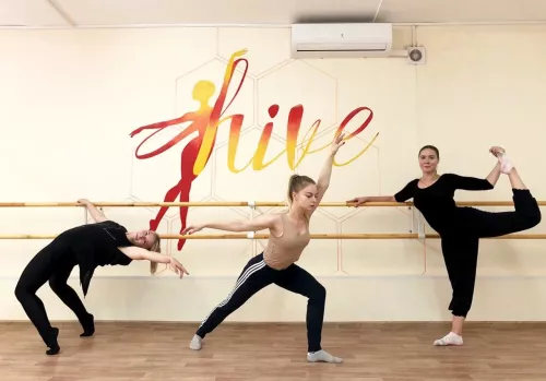 Школа танцев Hive Dance Centre  в  Екатеринбурге