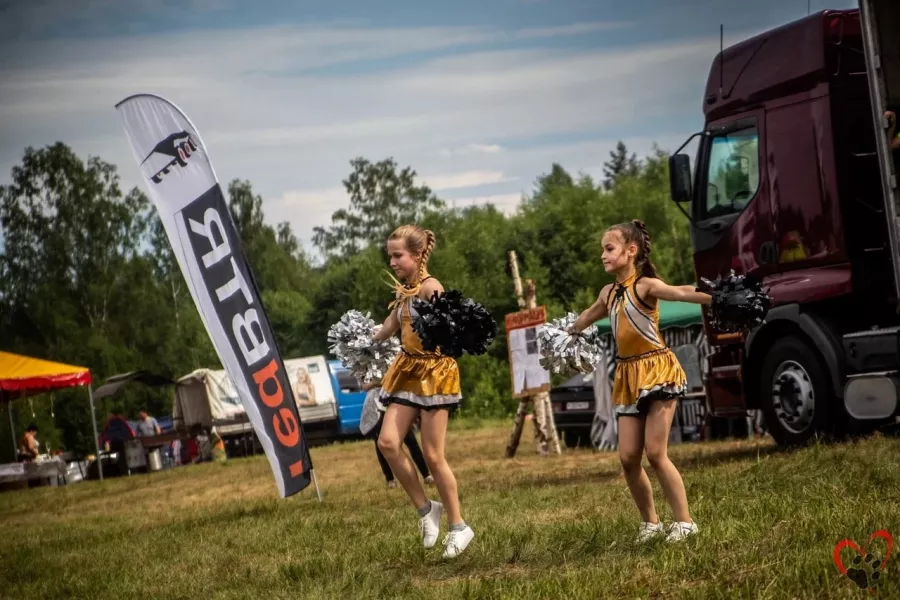 Школа танцев Страйк в Смоленске: Спорт, Танцы, Зал, Хореография, Растяжка, Школа, Детям,