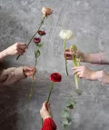 Миниатюра 7