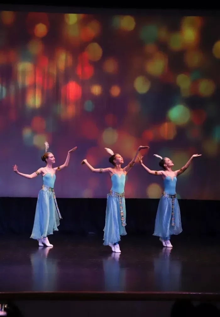 Школа хореографии "Триумф" на Чапаева