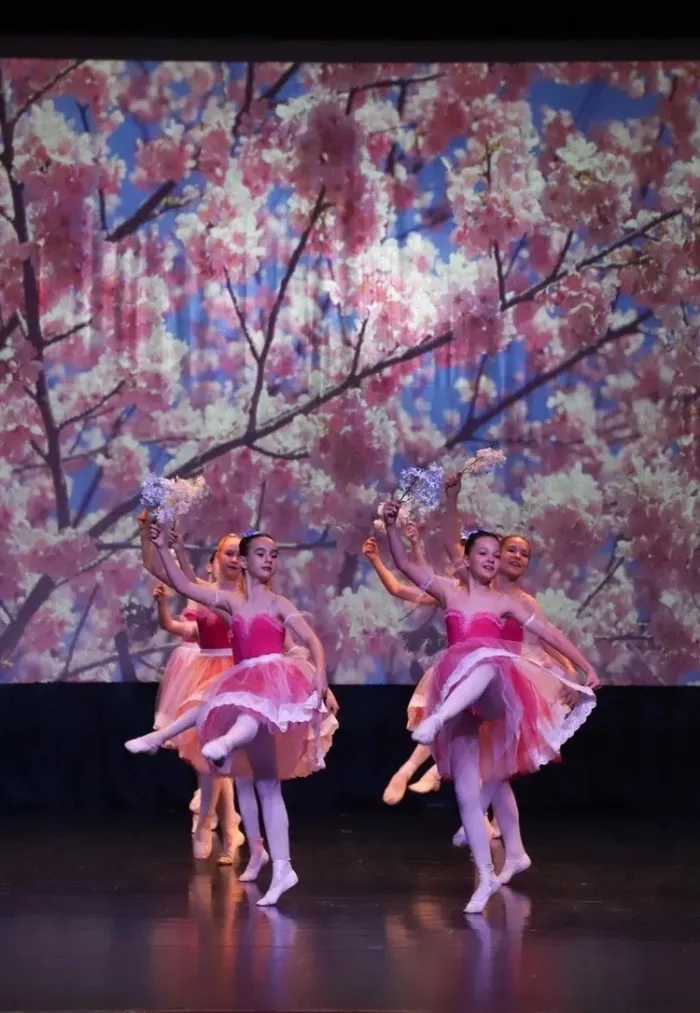 Школа хореографии "Триумф" на Чапаева