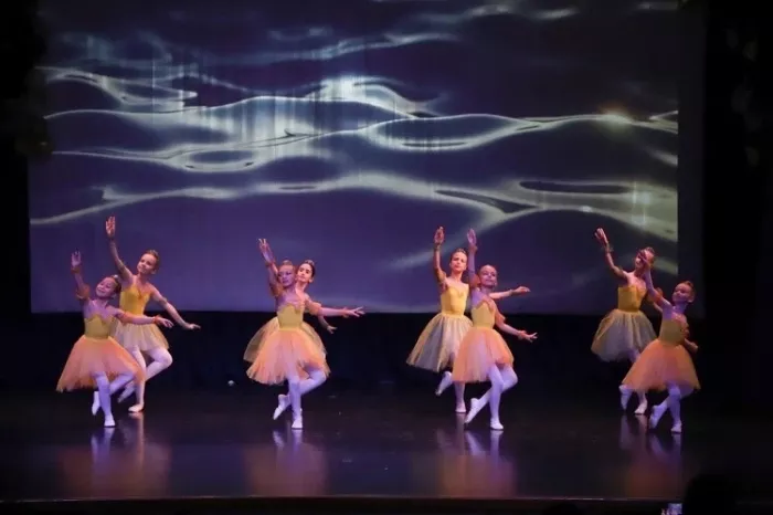 Школа хореографии "Триумф" на Чапаева