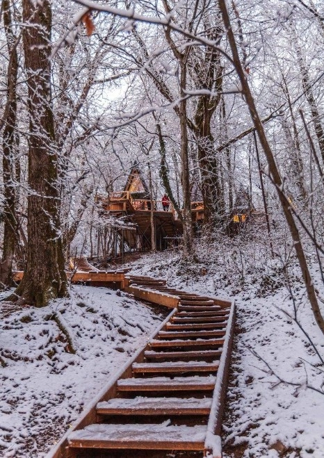 Баня Дзен в Красной Поляне: Баня, Массаж, Лимфодренаж, Spa,