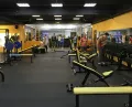 Миниатюра 5