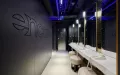 Миниатюра 11