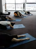 Миниатюра 4