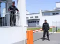 Миниатюра 8