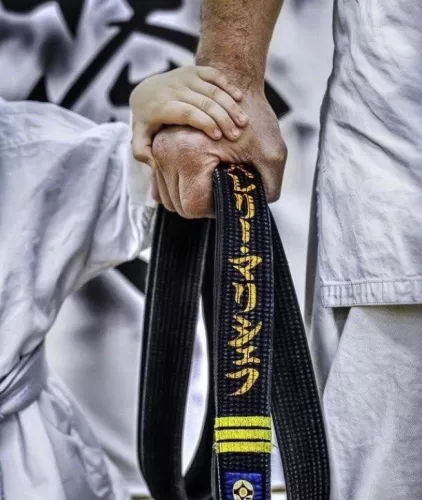 Клуб единоборств Tatami  в  Адлере