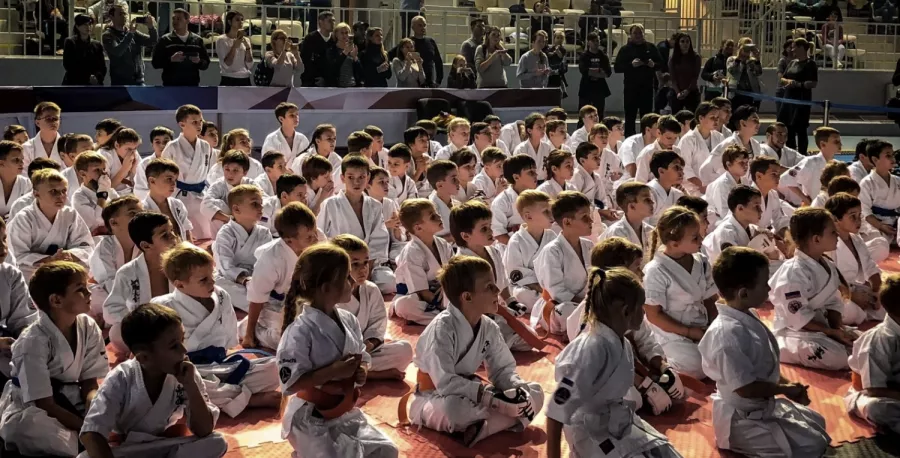 Спортивная секция Южная Федерация Киокусинкай каратэ в Адлере: Спорт, Развитие, Групповые занятия, Каратэ, Фитнес, Боевые искусства,