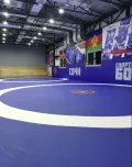 Миниатюра 3